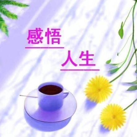 兵哥