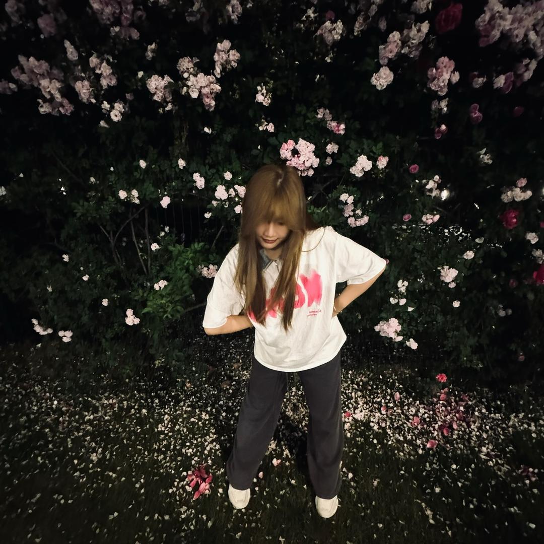 菲菲公主_