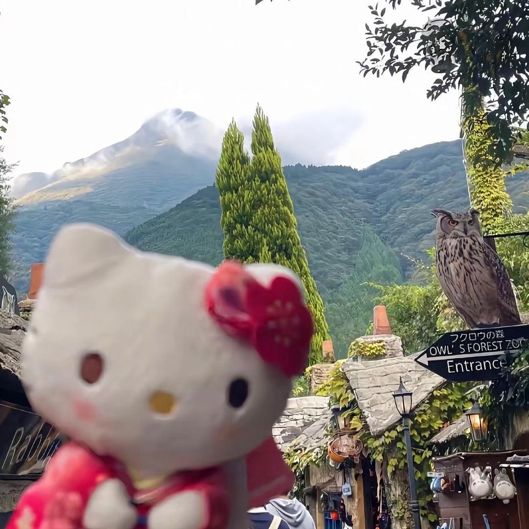 小葵花向阳