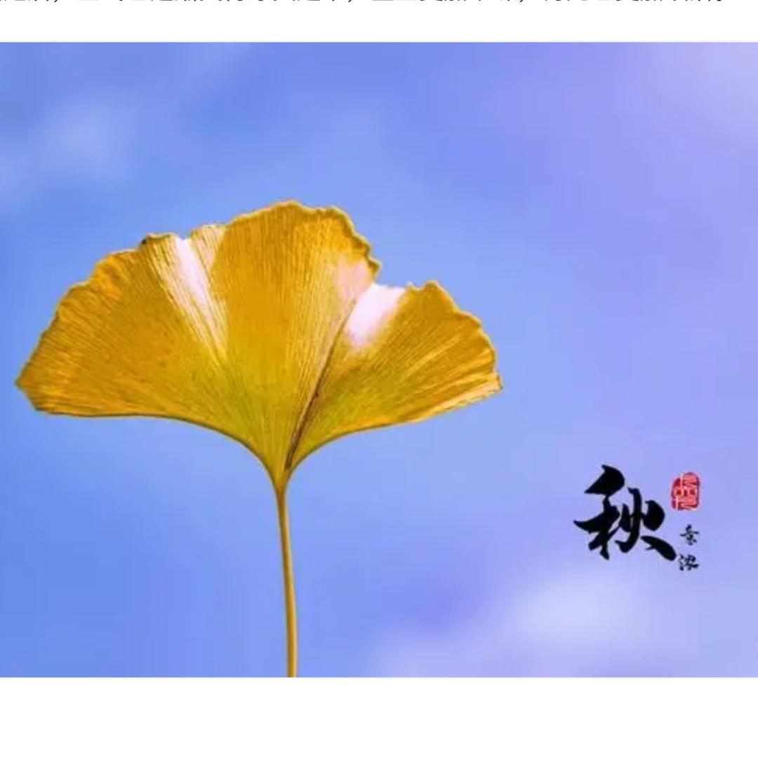 如风