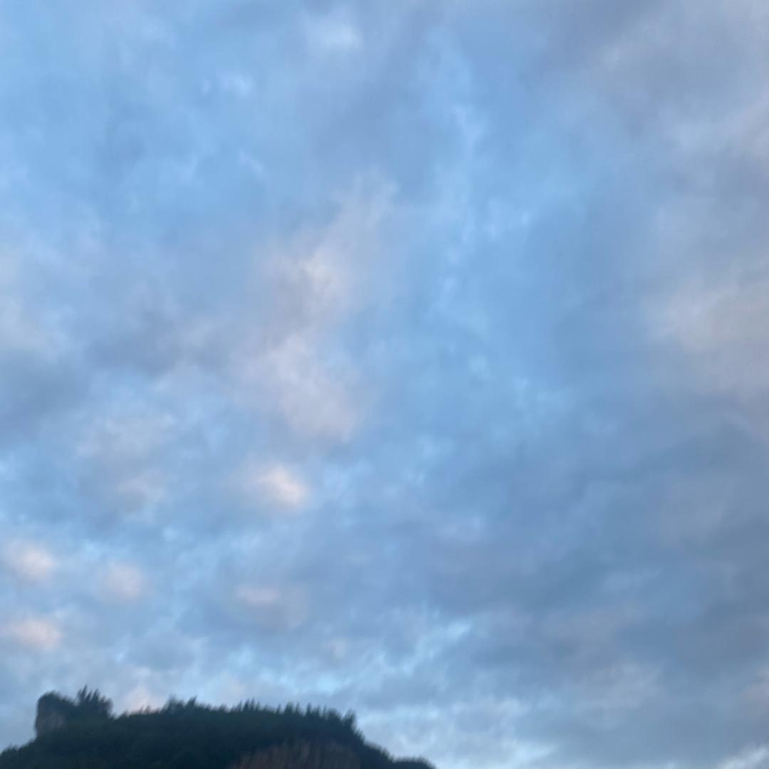 用户539496763764949676