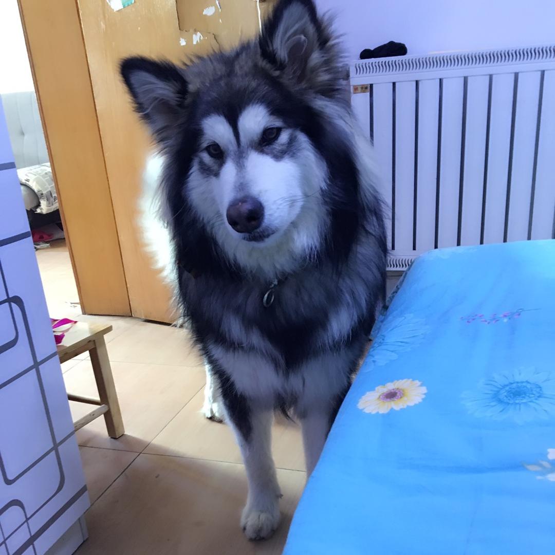 梅梅