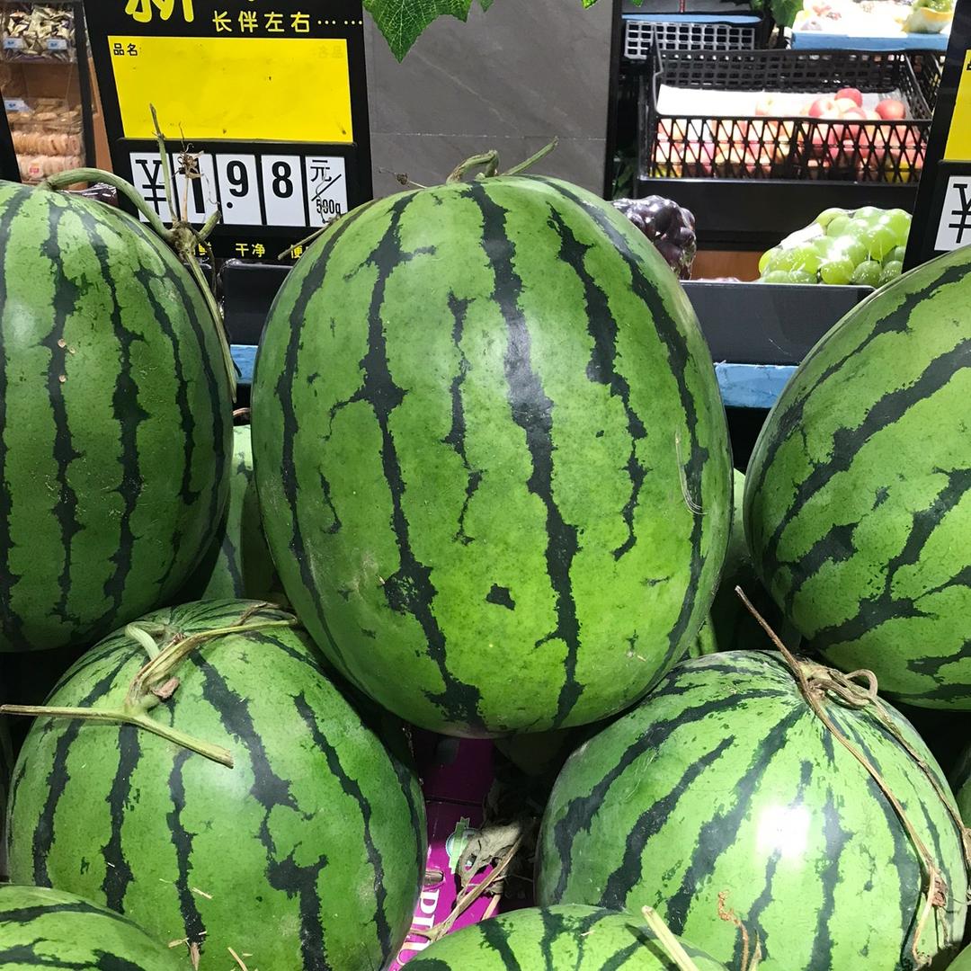 平原