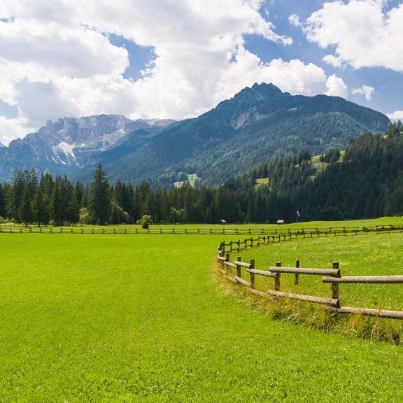 贵州新万博二手车批发