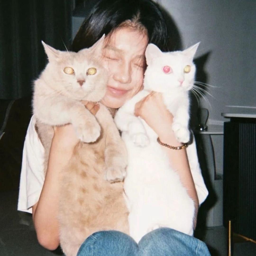 睡觉时我不困-