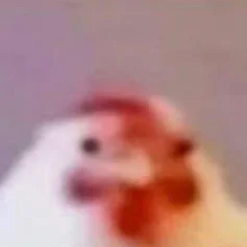 韩韩_
