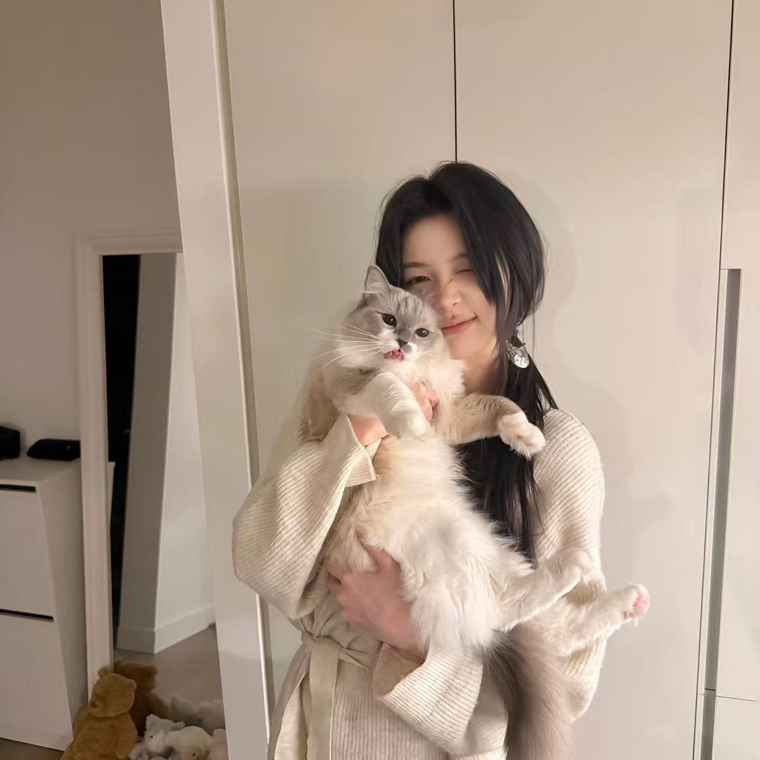 你的婉婉