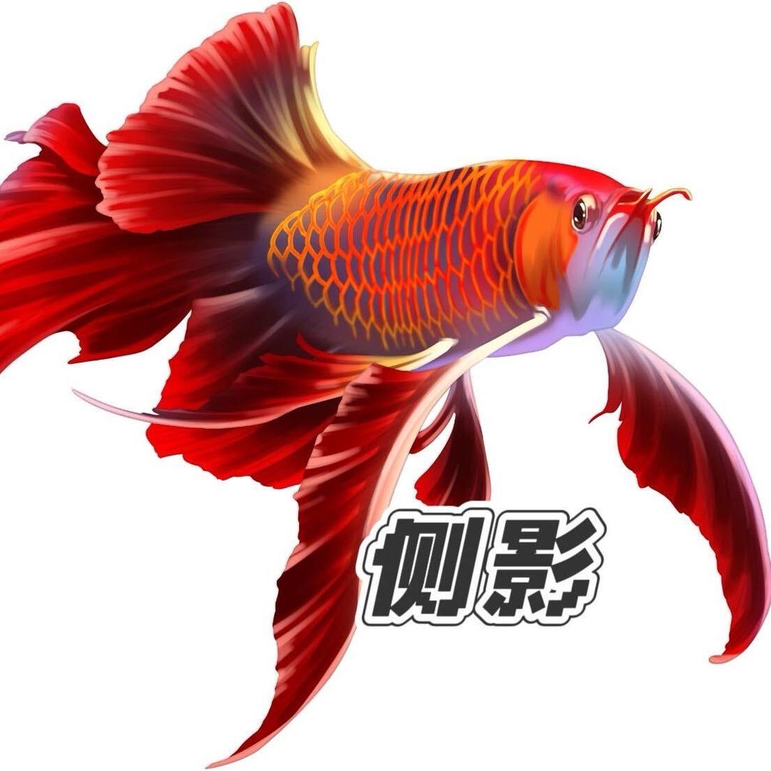 水墨瑶池企业店