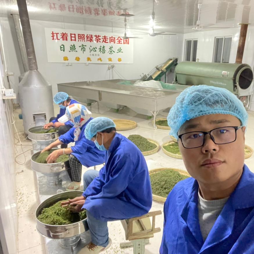日照茶沁禧春