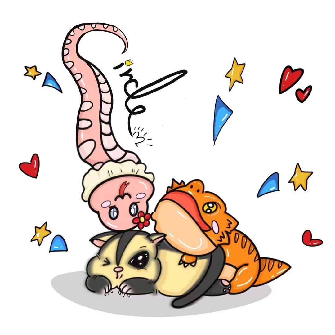 🦎Circle Reptile🐍