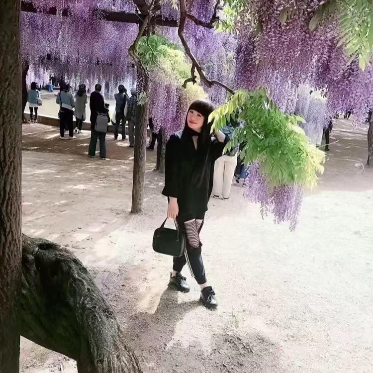莉姐在岛国