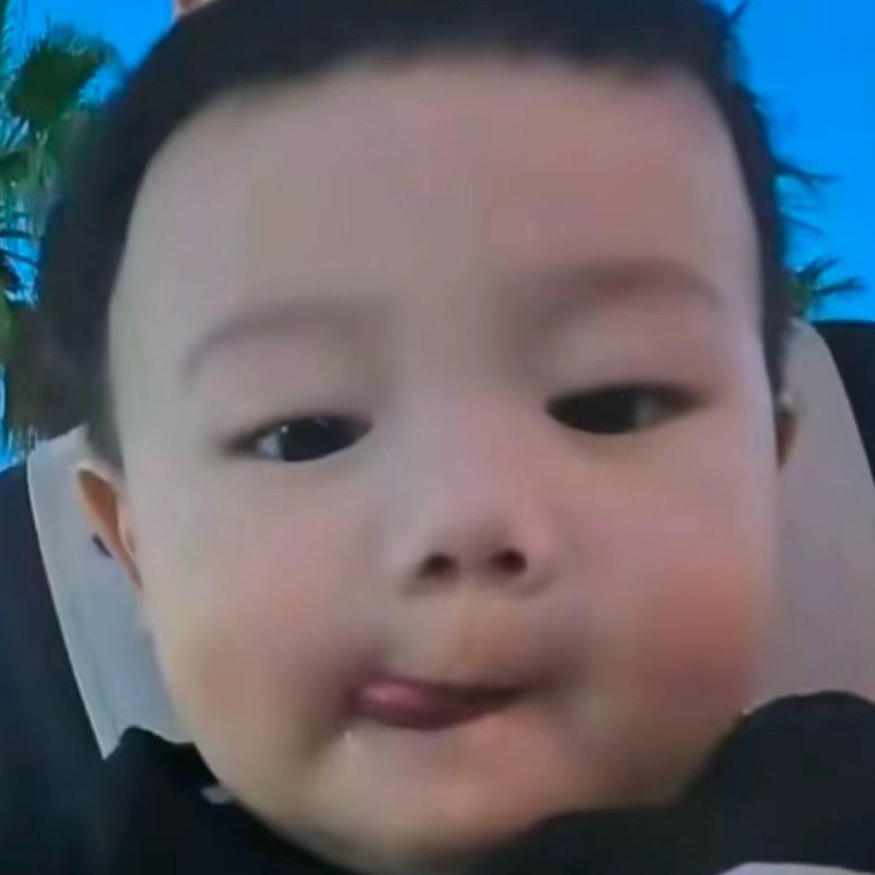 别在家不理我研究星座