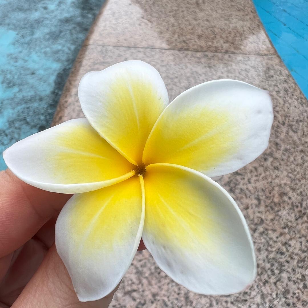 等✨等