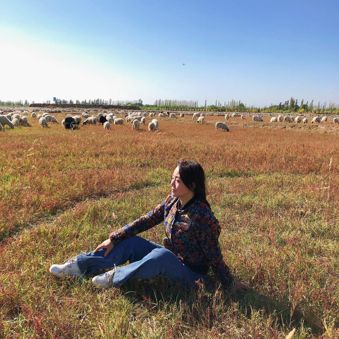 宁夏滩羊玖牧臻品