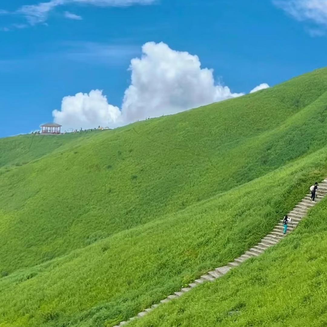 柚子在武功山做设计