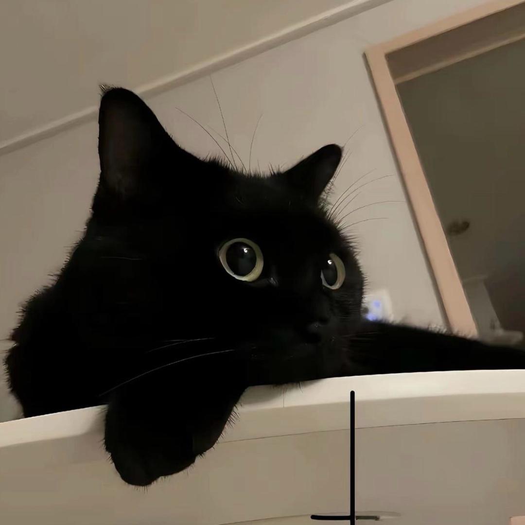͏͏͏͏͏͏ 1