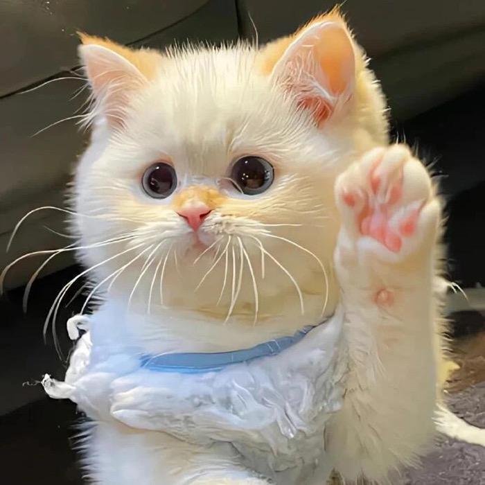 尝尝甜不甜☻