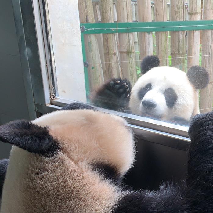 郝先生。