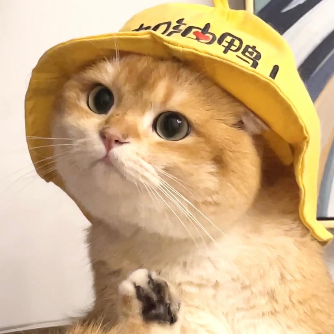 咕噜旺