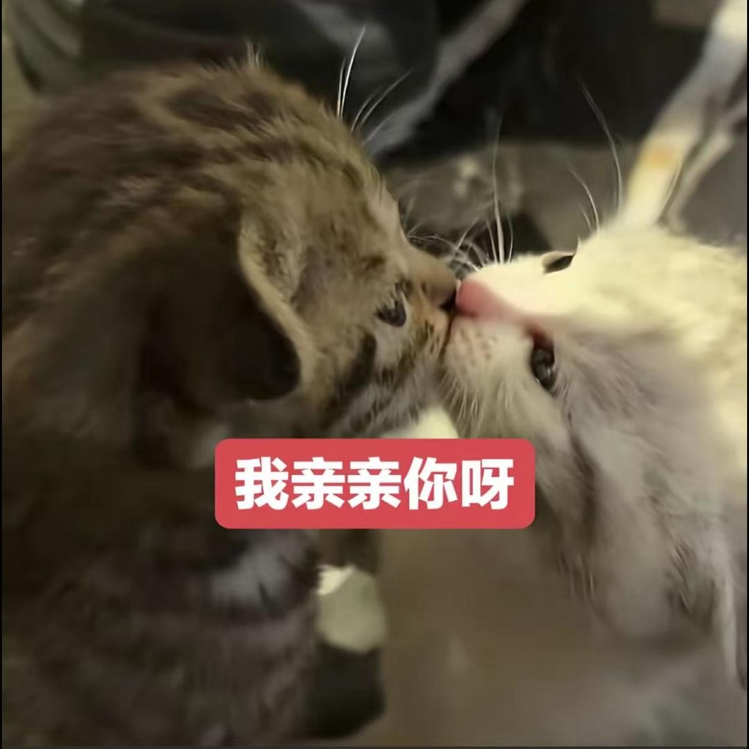 痕