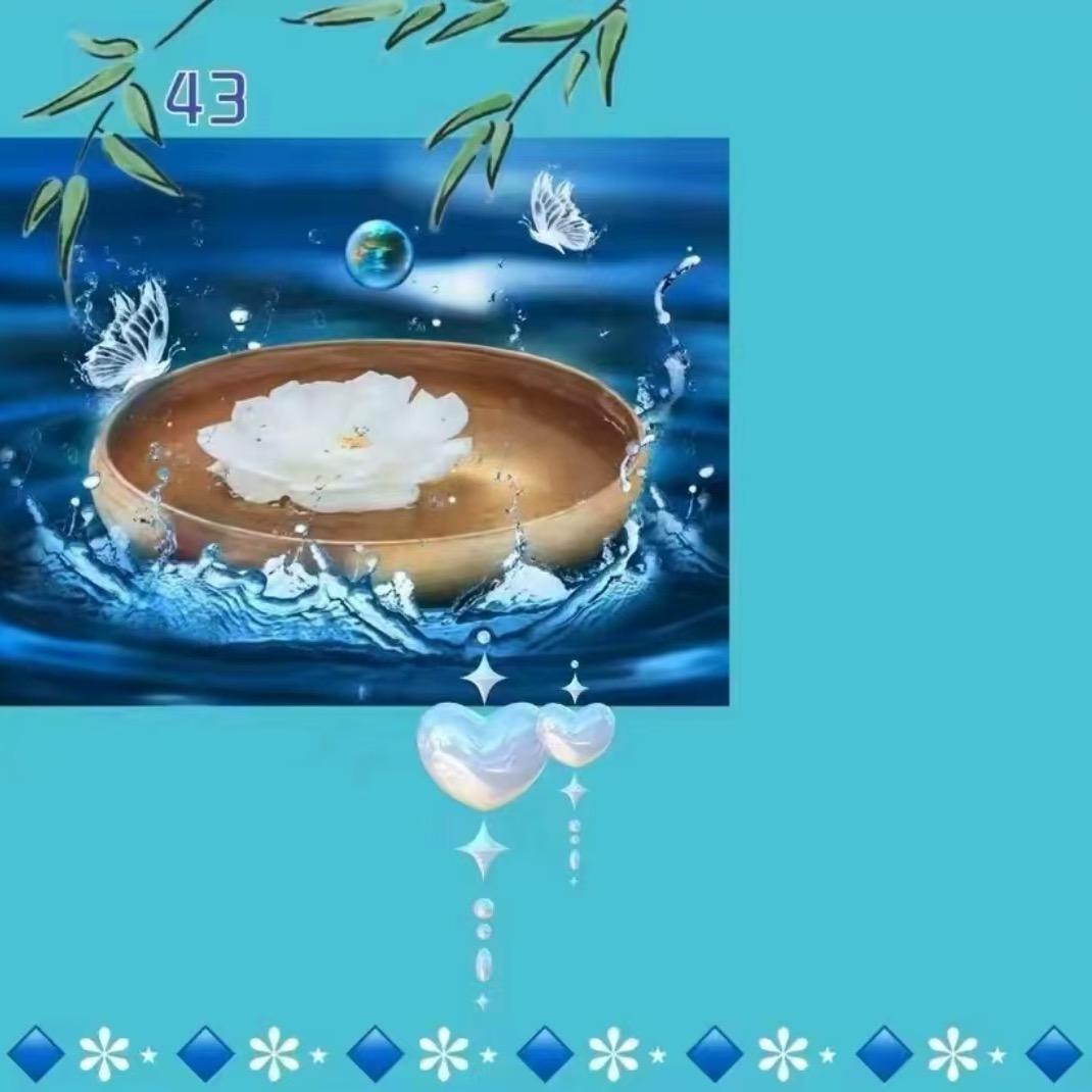 鸿晰高品围巾