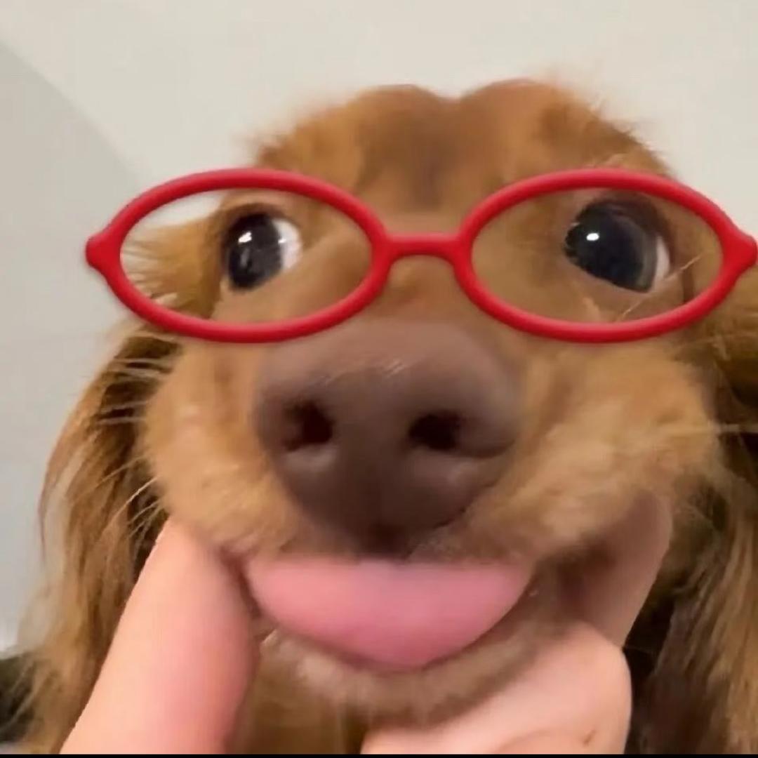 腼腆小美
