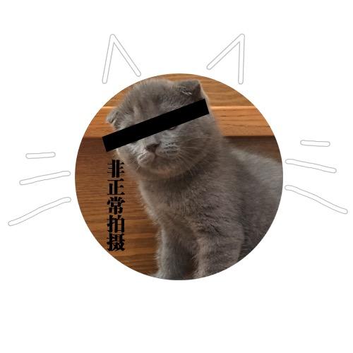 动物一大箩筐