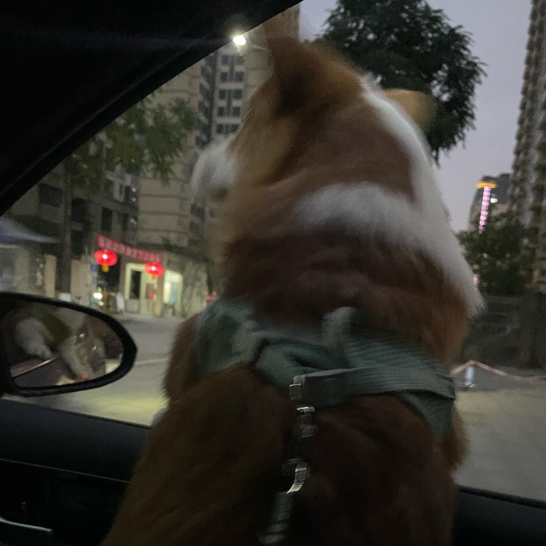 匆匆.