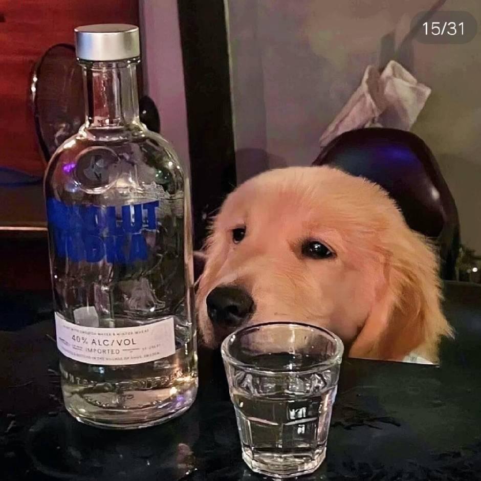 ૮₍ ˶•‸•˶₎ა