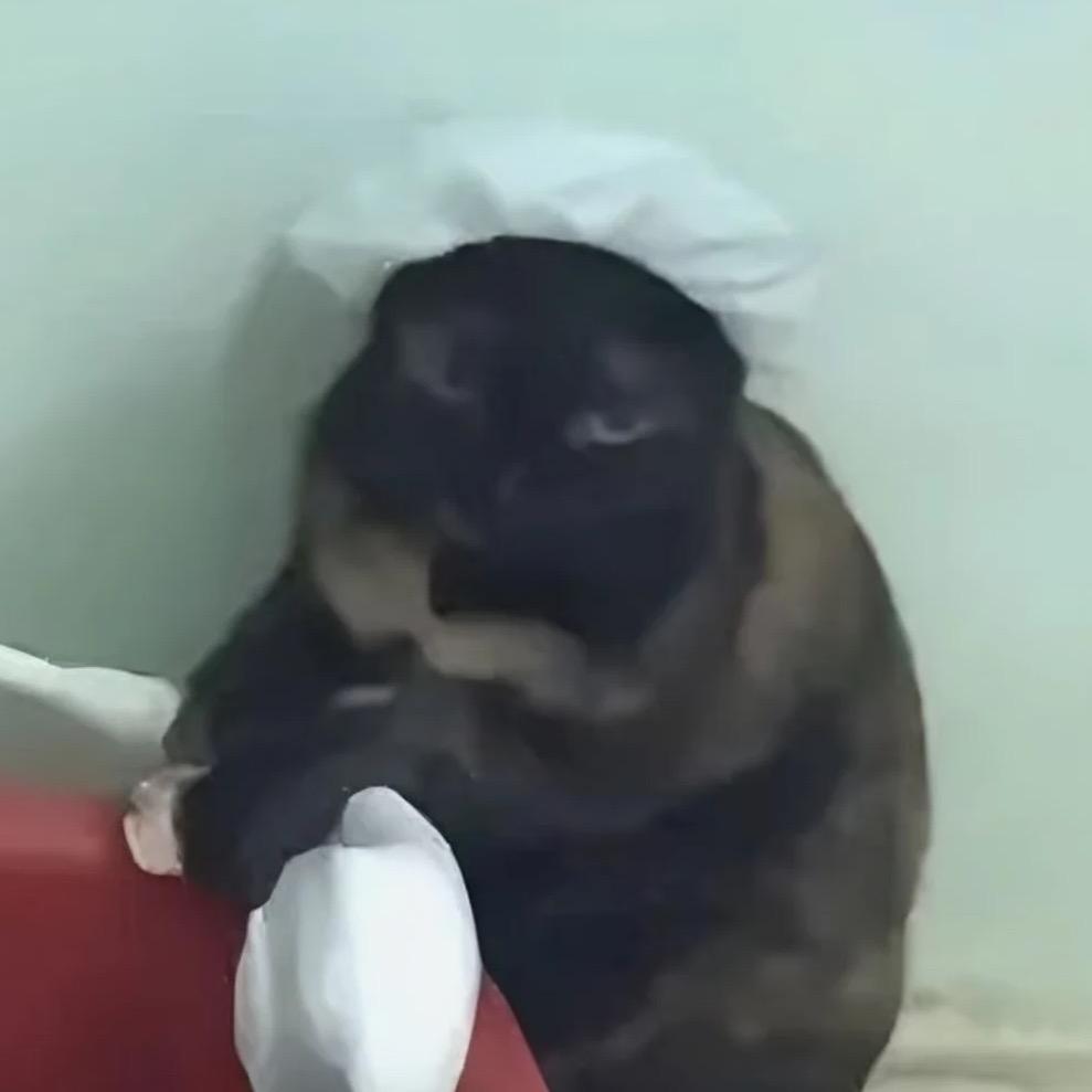 小司吉的男朋友