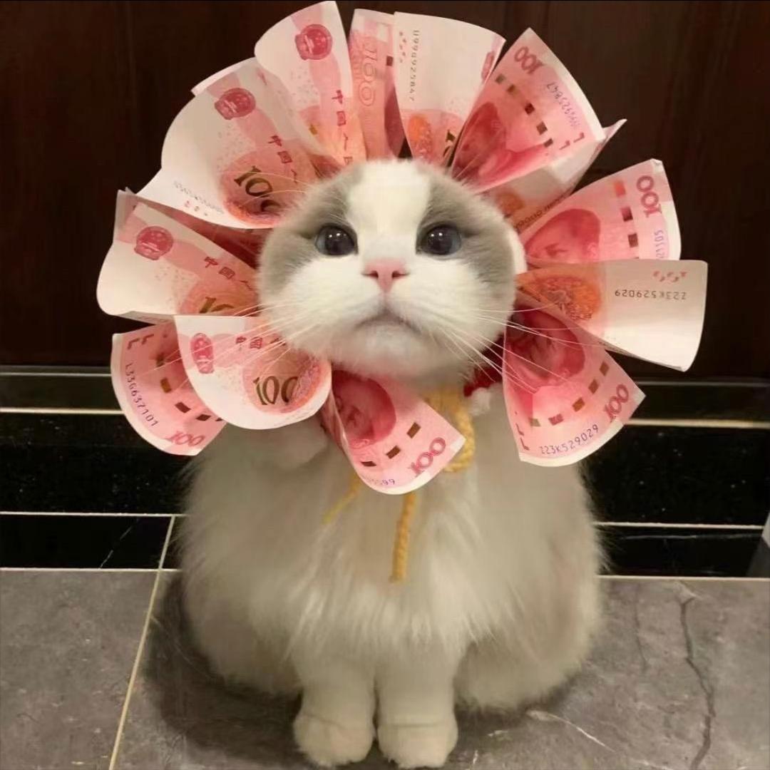 @障爱族✨克星