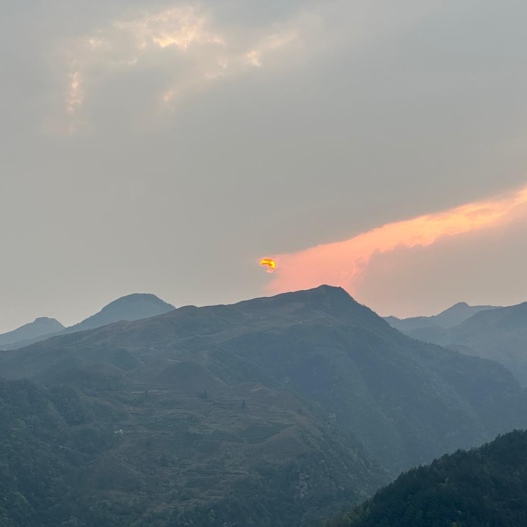 一片树叶@