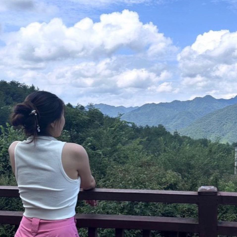 一张标签🏷️