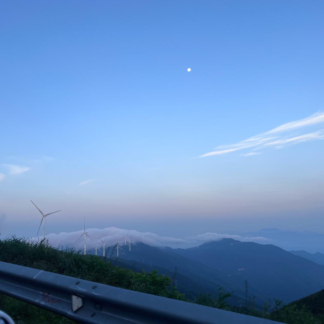 黄小鱼