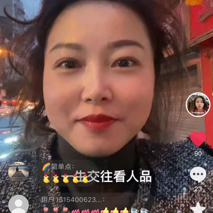 会飞的鱼