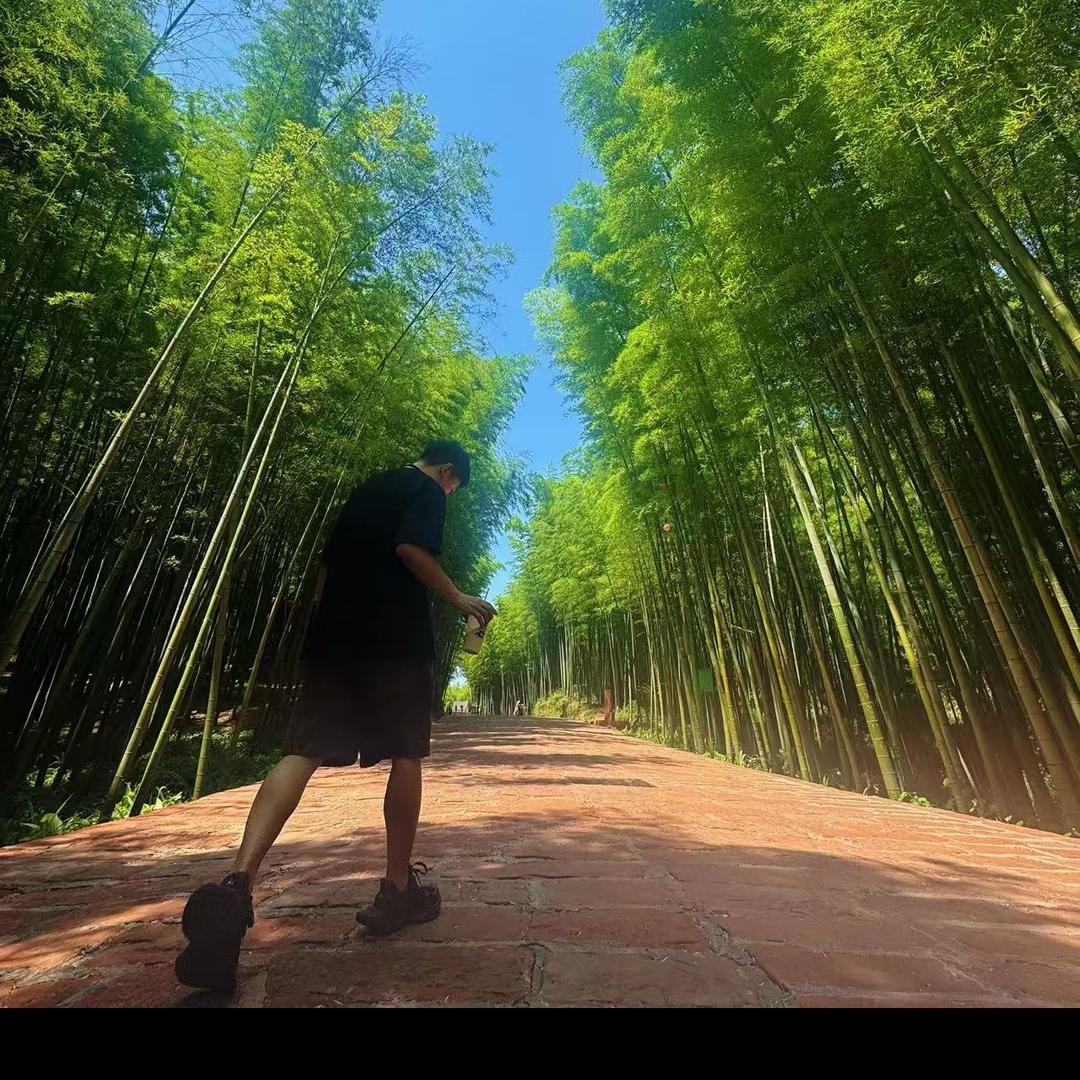 巴科蕾