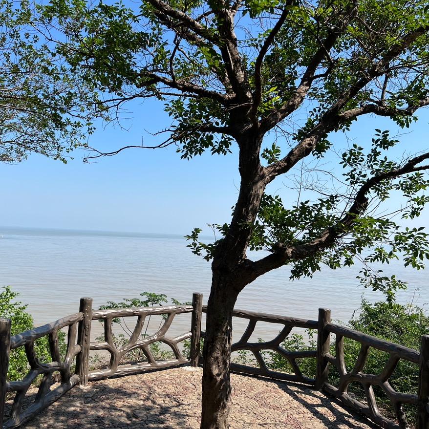 阿俊