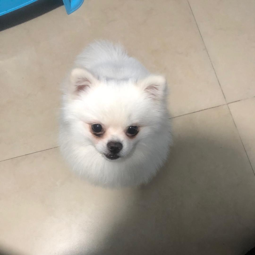 拉黑删除〈拒绝私聊〉