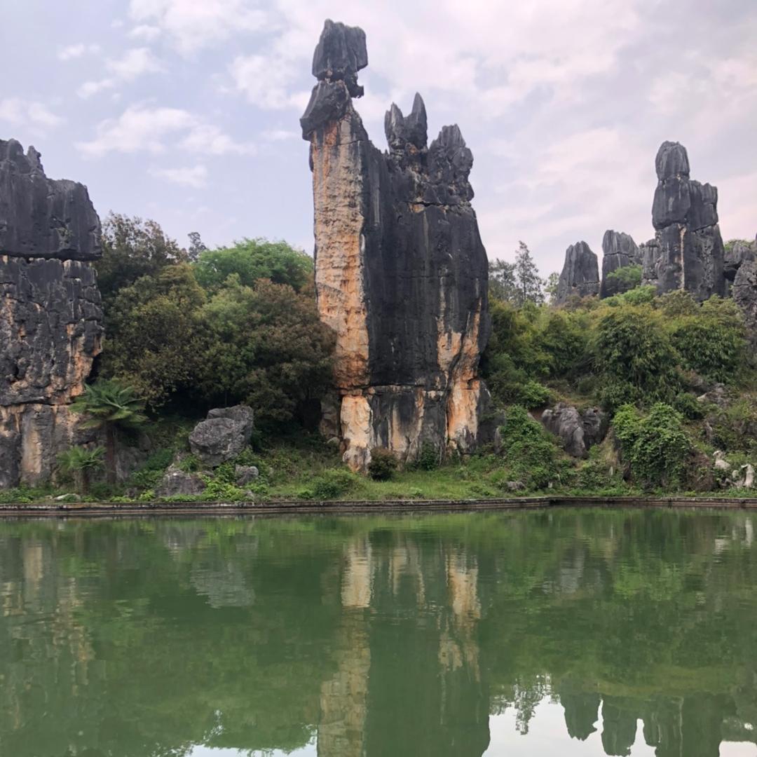 抖音（营销号）