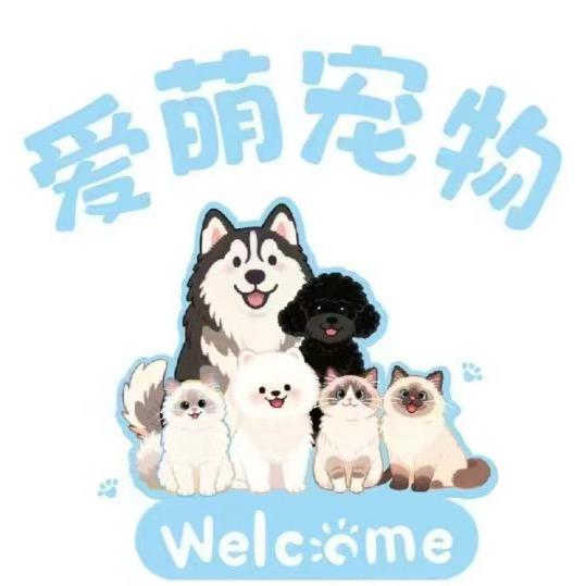 爱萌宠物(镇隆店)