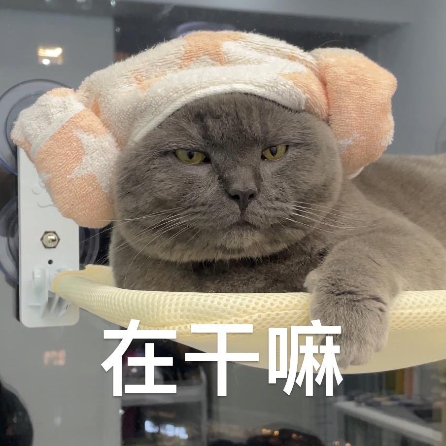 馒头小斧子