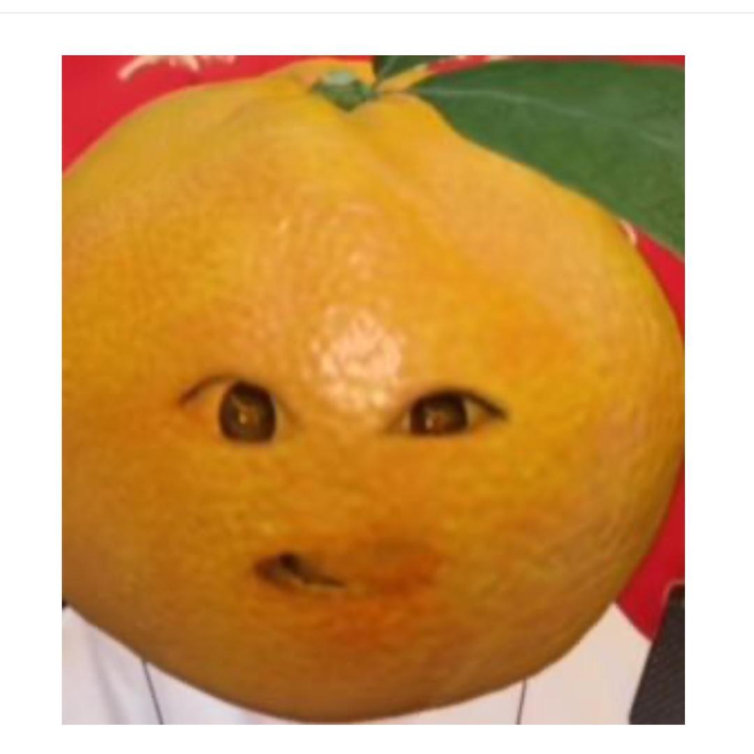 易阳小橘子🍊