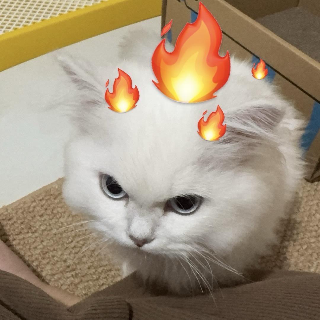 Jinnekk