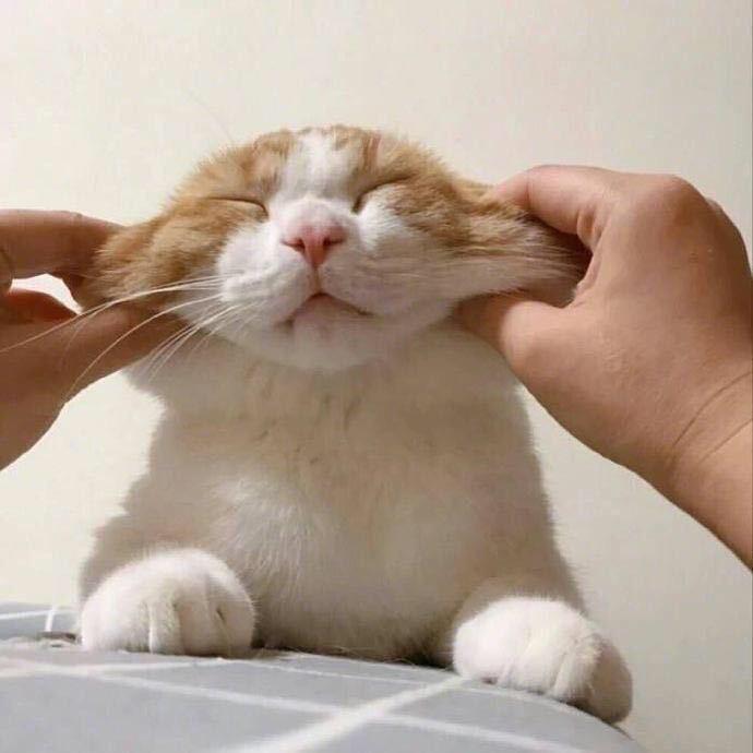 壬壬