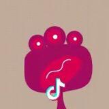 ✨心辰 ¹³¹⁴𝗵𝗮𝗽𝗽𝘆