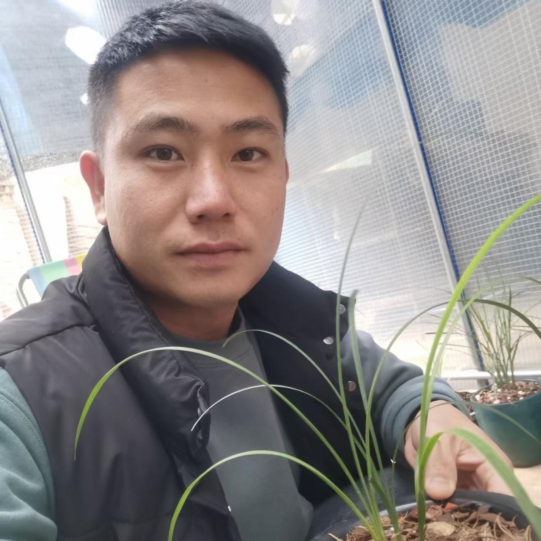 王小虎，古风花卉