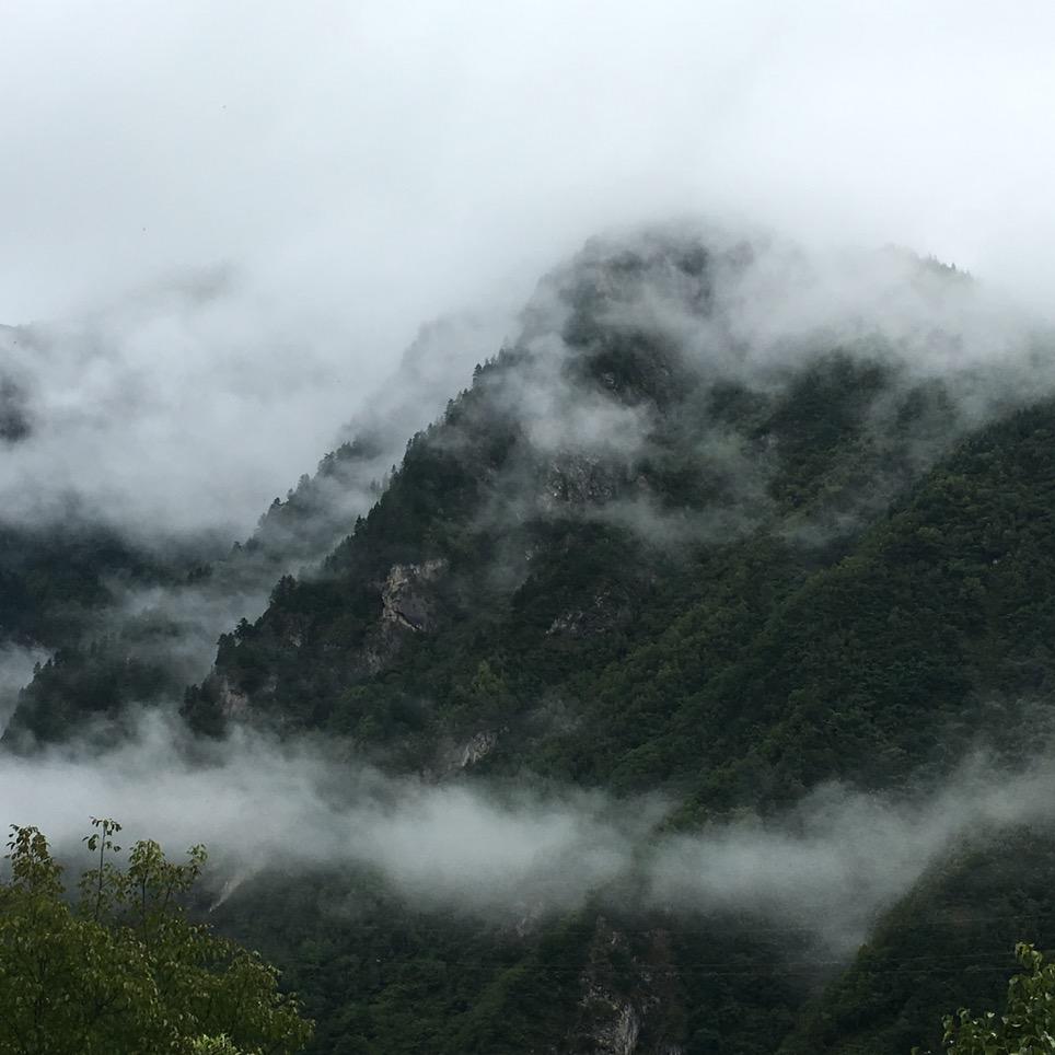 如面如愿
