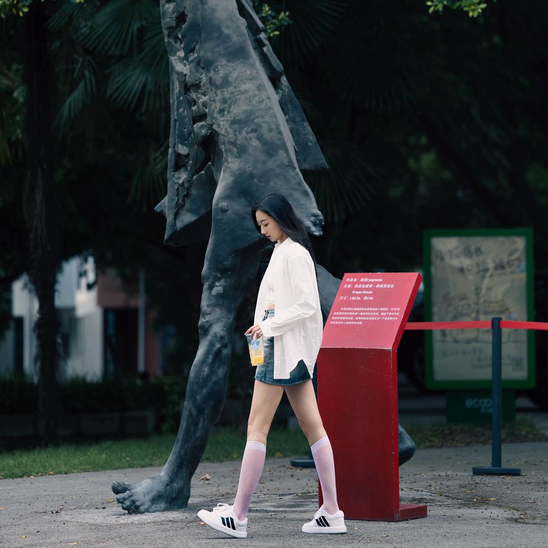 白茶 清欢