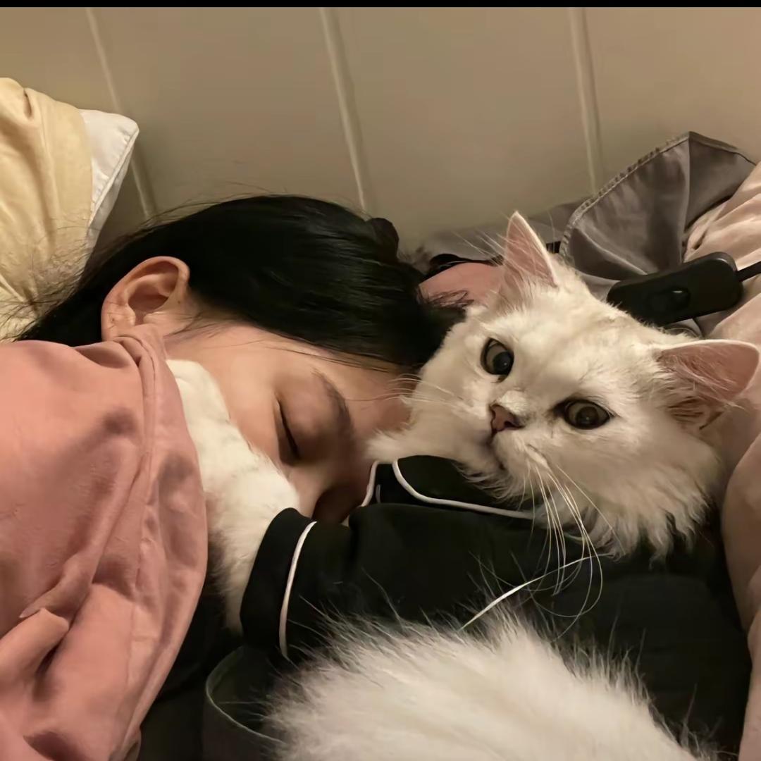 曹花花