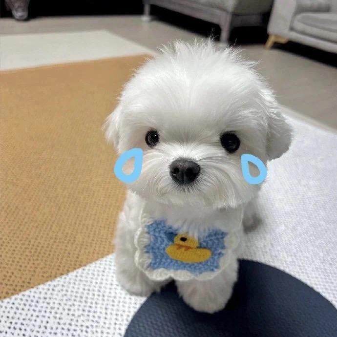 Z☡zᶻ
